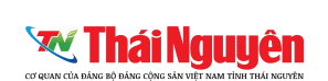 báo thái nguyên